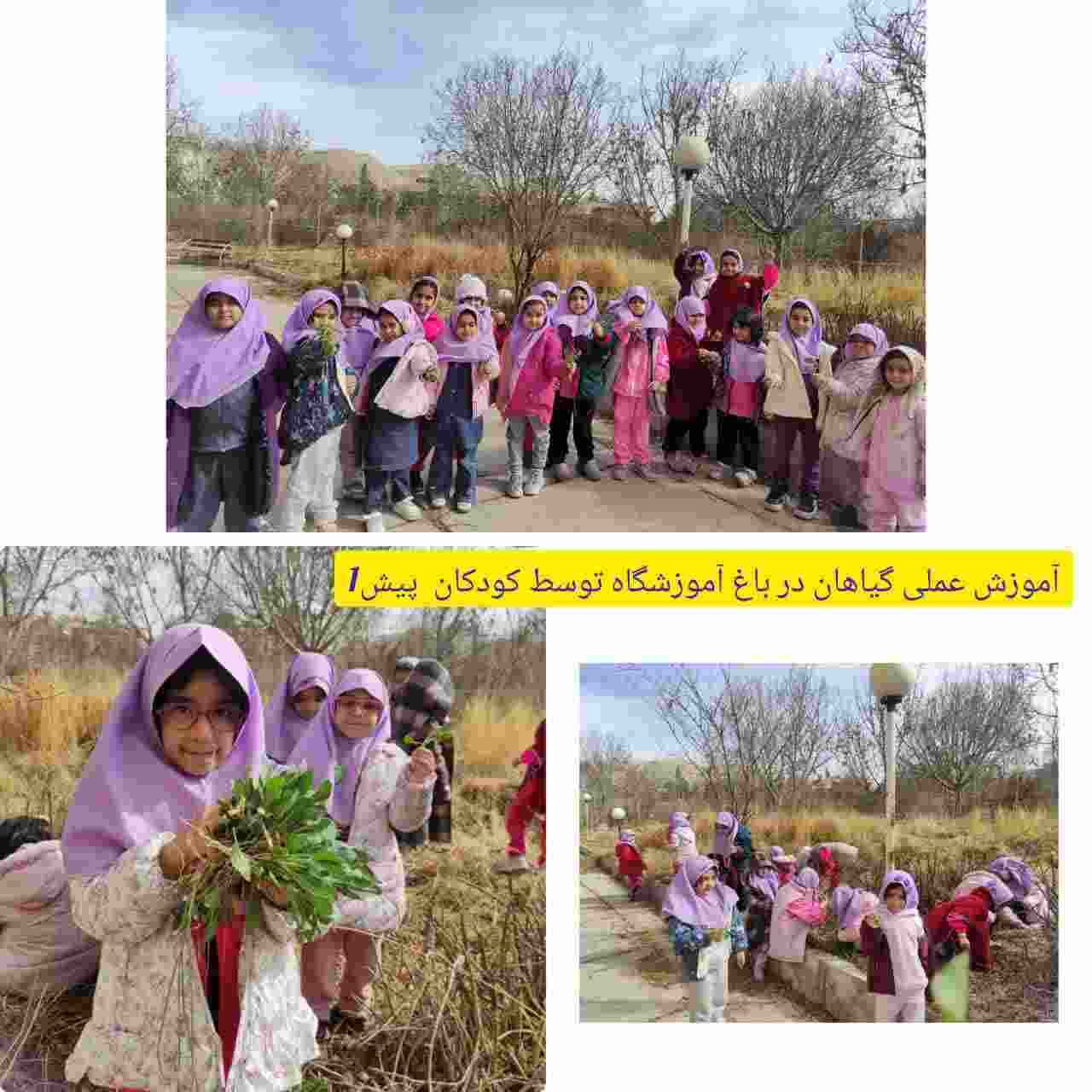 فعالیت های کلاس پیش دبستانی سرکار خانم مرادی