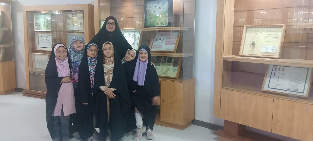 فعالیتهای کلاس سوم سرکار خانم نام آور
