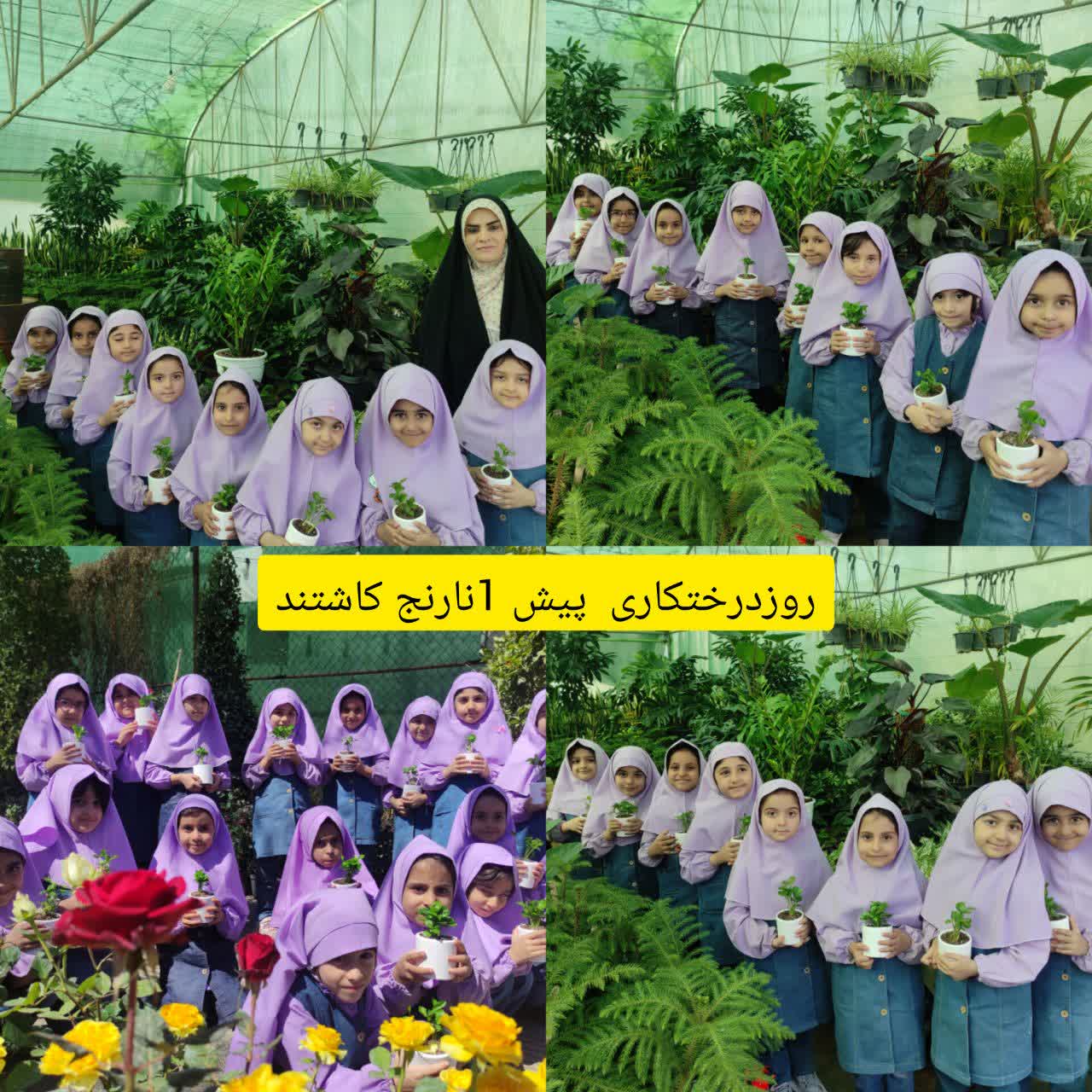 فعالیت های کلاس پیش دبستانی سرکار خانم مرادی